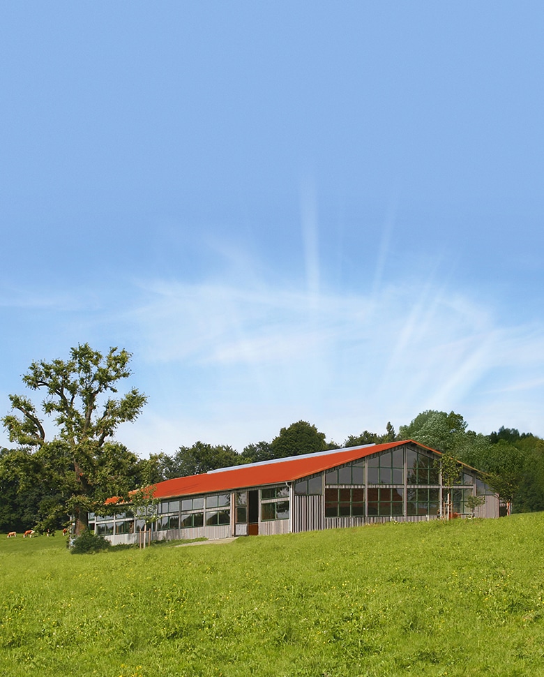 Individuelle Reithalle bauen