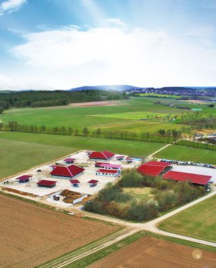 Freilaufstall & Aktivstall bauen